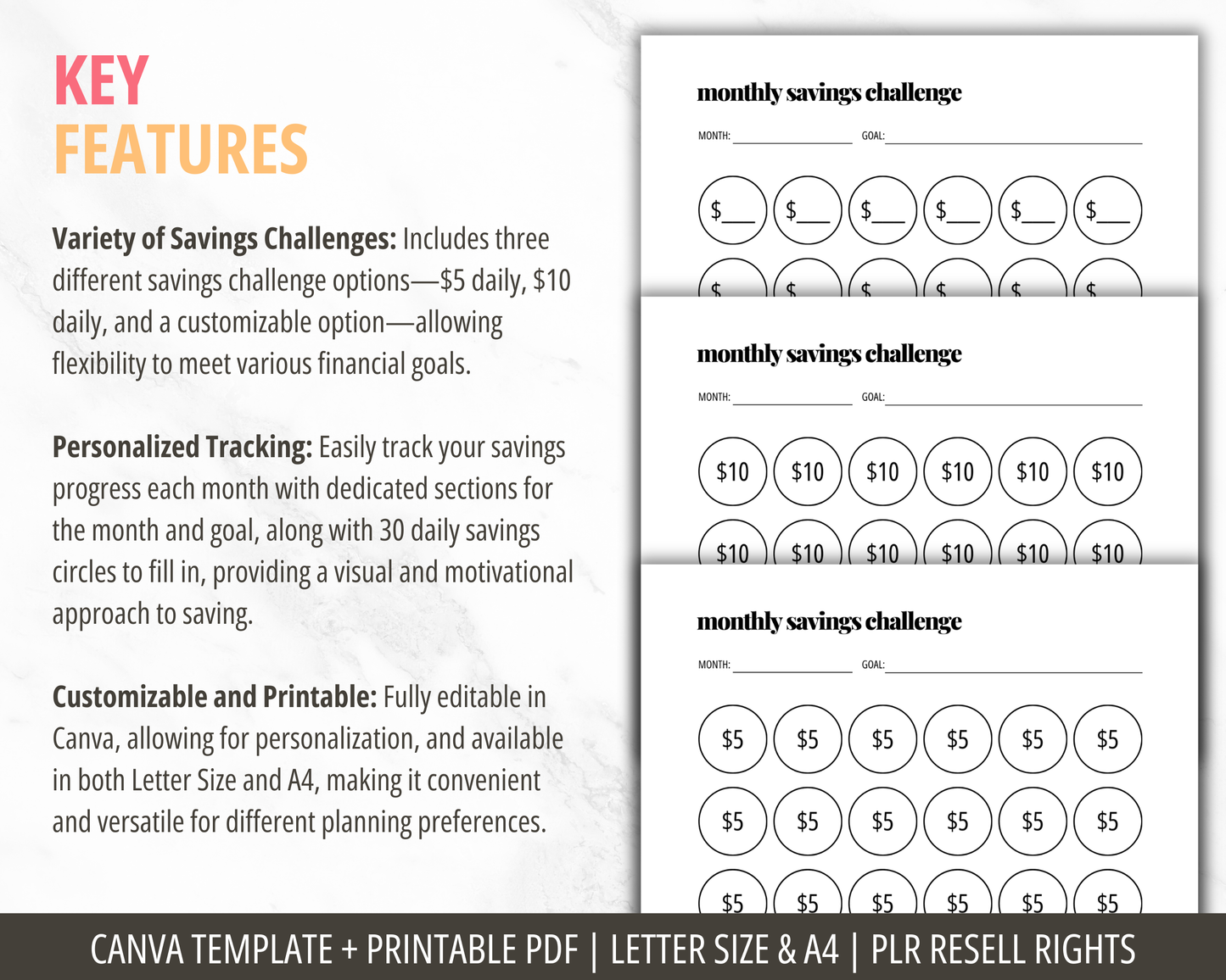 Monthly Savings Challenge Printable PDF | Savings Challenge Tracker Editable Canva Template PLR